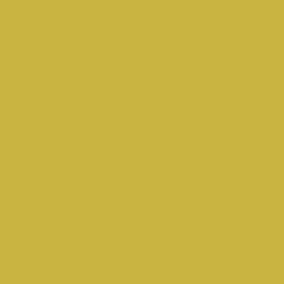 Yellow (Ral 1021)